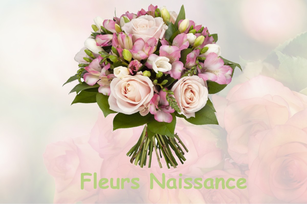 fleurs naissance LA-LOYE