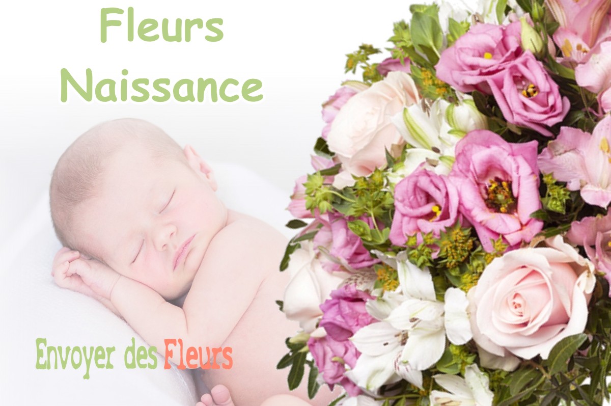 lIVRAISON FLEURS NAISSANCE à LA-LOYE